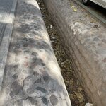 Photo taken by Graciela P