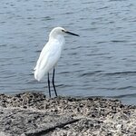 Photo taken by Grace V