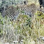 Photo taken by Peter L