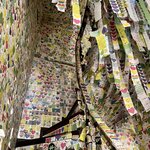 Photo taken by Vanessa V