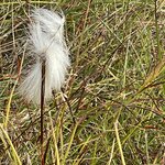 Photo taken by Nan K