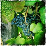 Photo taken by Olaf H