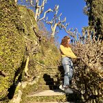 Photo taken by Lisa H