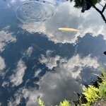 Photo taken by Nicoline v