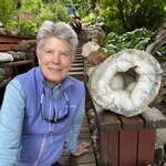 Photo taken by Sara W