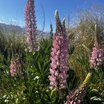 Photo taken by Judah J