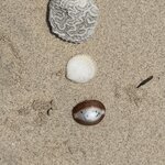 Photo taken by Dixie W