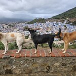 Photo taken by Mike K