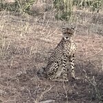 Photo taken by rhonda c