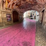 Photo taken by Kaisha S