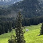 Photo taken by Sylvia S