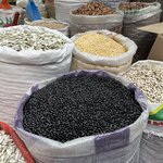 Photo taken by Sally H