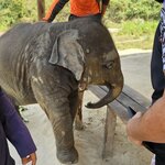 Photo taken by Amber S