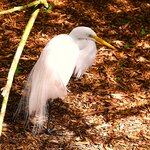 Photo taken by Dennis H