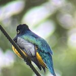 Photo taken by Ora Y