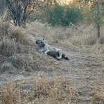 Photo taken by Chris K