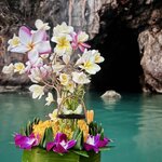 Photo taken by Nicole S