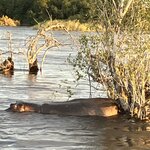 Photo taken by rhonda c