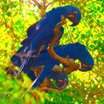 Photo taken by Dennis H