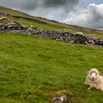 Photo taken by Peter B