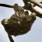 Photo taken by Ben B