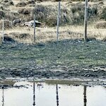 Photo taken by Terry M