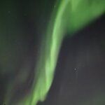 Photo taken by Monique V