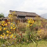 Photo taken by Katherine J