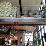 Greenhouse Hotel | Photo taken by Shannon C