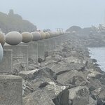 Photo taken by Nan K