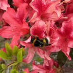 Photo taken by Catherine H