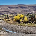 Photo taken by KHEE BOON L