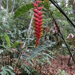 Photo taken by William B