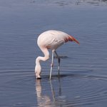 Photo taken by Mariellen S