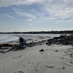 Photo taken by Sullivan S