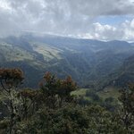 Photo taken by Carine D