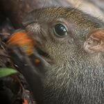 Photo taken by Chris H