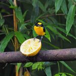 Photo taken by Dawne D