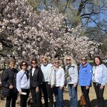 Photo taken by Marianne O