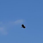 Photo taken by Susan K