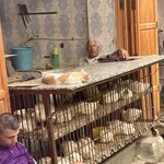 Photo taken by Cynthia F