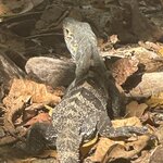 Photo taken by Bonnie Y