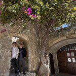 Photo taken by Jones I