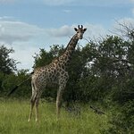 Photo taken by Michael Z