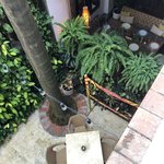 Photo taken by Juliette S