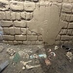 Photo taken by Emily F