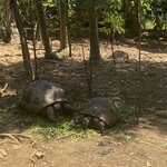 Photo taken by Alison R