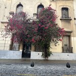 Photo taken by Stephen s