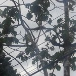 Photo taken by Claudia S