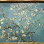 Photo taken by Shannon F